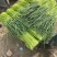 河南周口万亩精品鲜蒜苔红帽蒜薹一手货源无水分