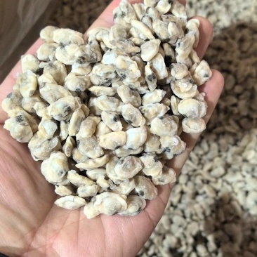 孟哈肉大量供应辽宁产地直发，货源充足，保质保量，新鲜发货