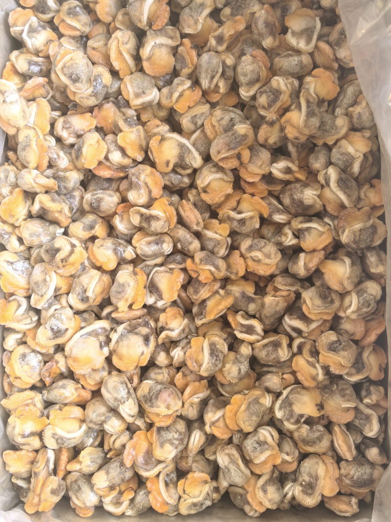 赤贝肉大量供应，产地直发，货源充足，量大从优，可视频验货