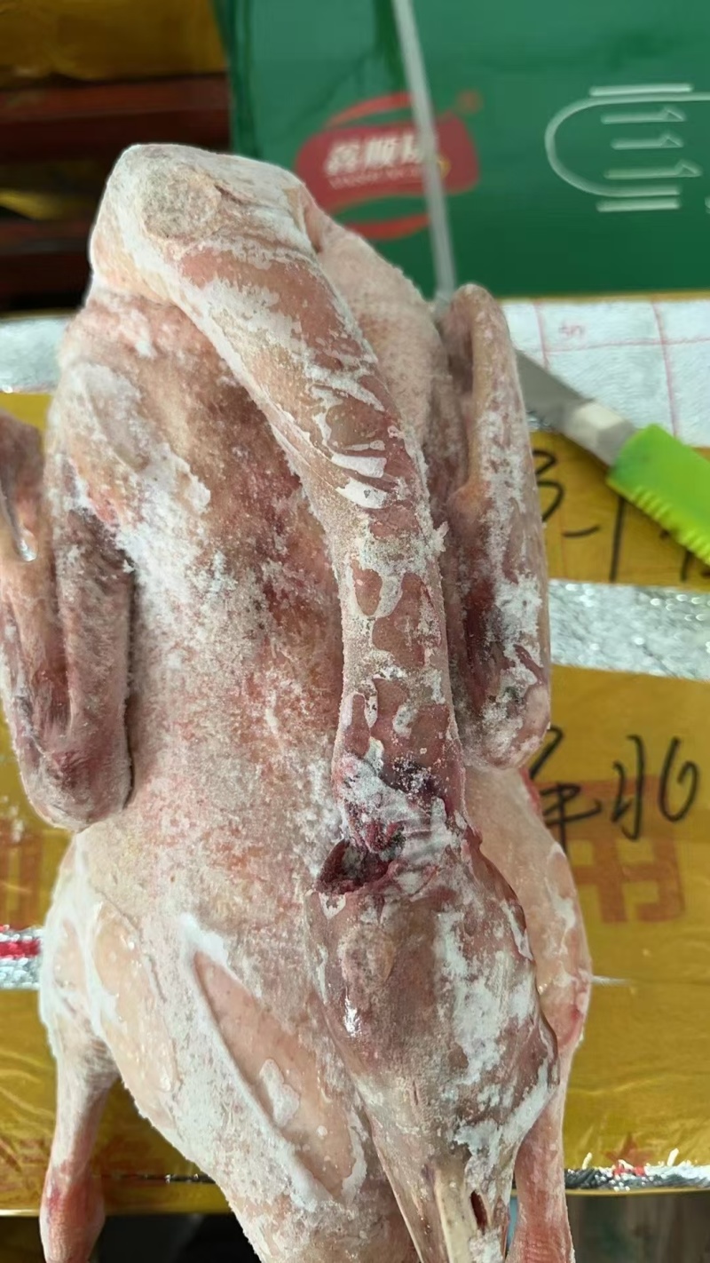 鹅鹅，鹅