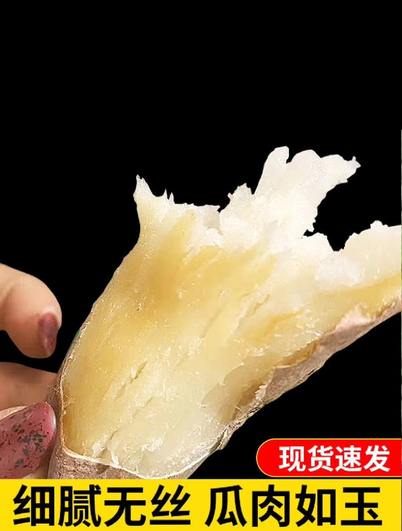 白哈密红薯大量上市产地发货价格美丽欢迎老板电话拿货