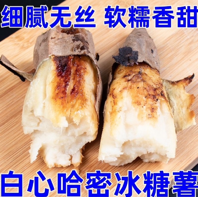 白哈密红薯大量上市产地发货价格美丽欢迎老板电话拿货
