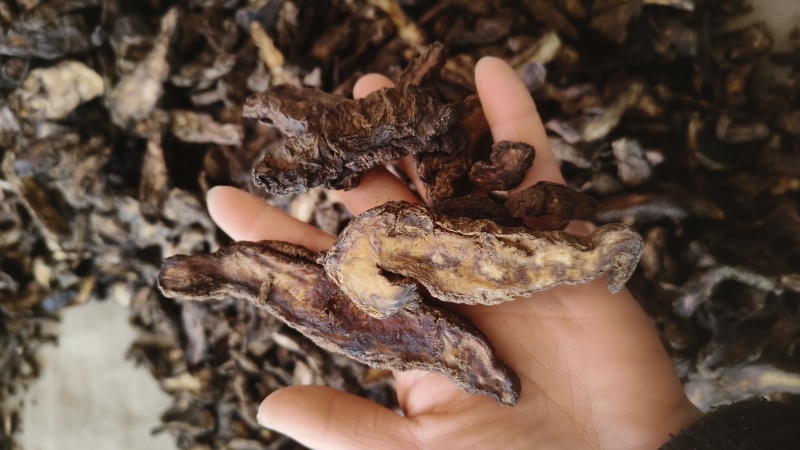 《生地黄》地黄片现货规格全量大从优
