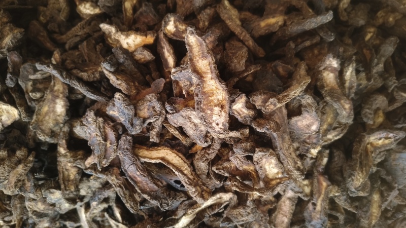 《生地黄》地黄片现货规格全量大从优