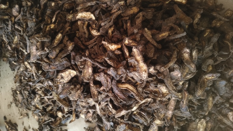 《生地黄》地黄片现货规格全量大从优