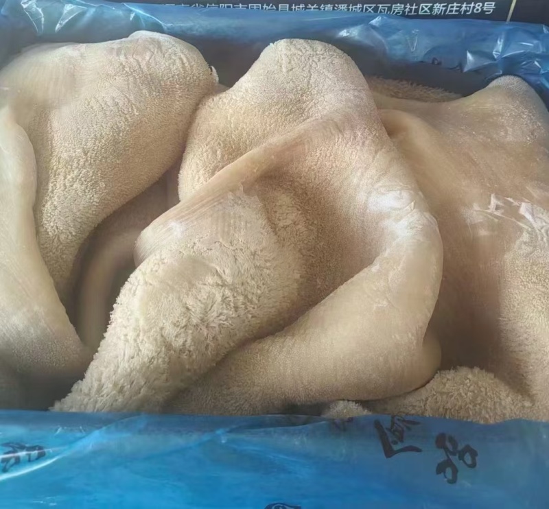 熟牛肚