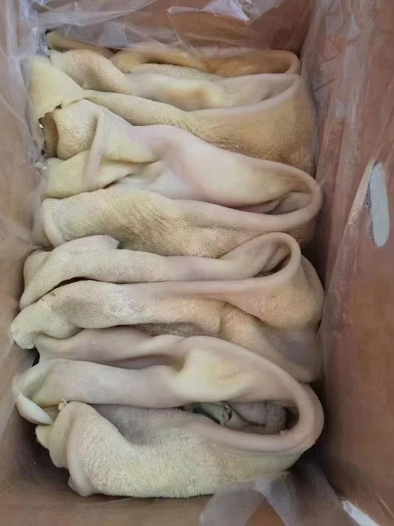 熟牛肚