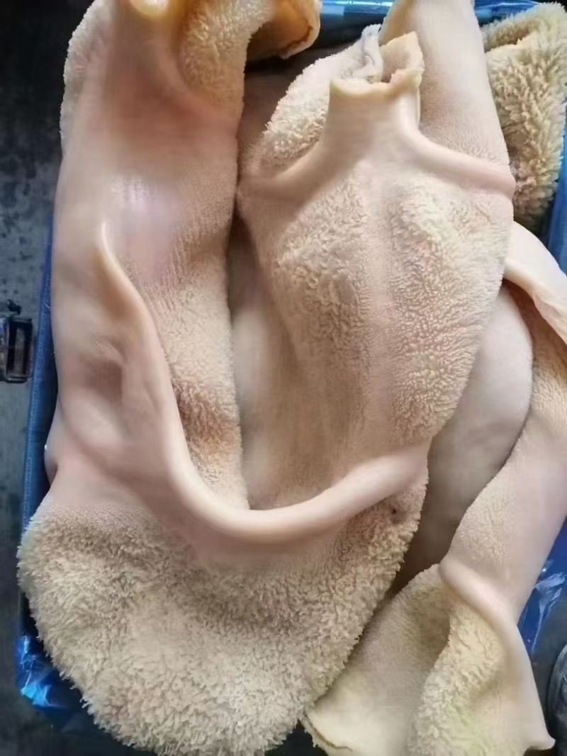 熟牛肚
