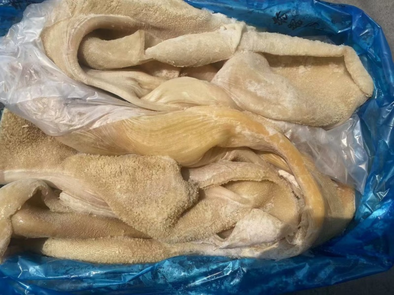 熟牛肚