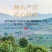 高山铁观音浓香型茶叶兰花香安溪乌龙茶2024新茶正品高档茶礼