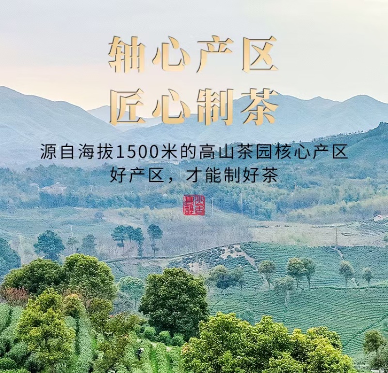 高山铁观音浓香型茶叶兰花香安溪乌龙茶2024新茶正品高档茶礼
