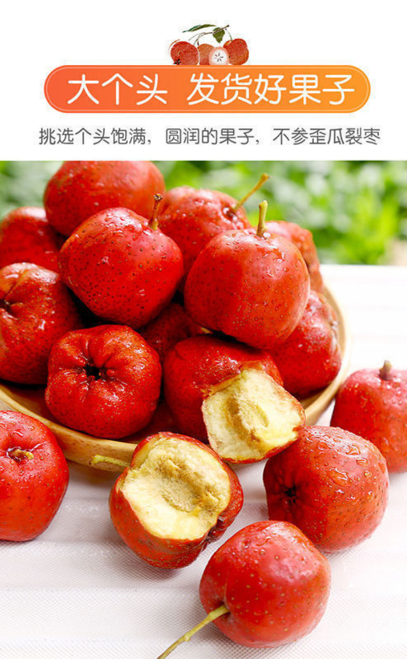 糖葫芦糖雪球专用大五棱特级新鲜山楂现摘鲜果冰糖葫芦批发