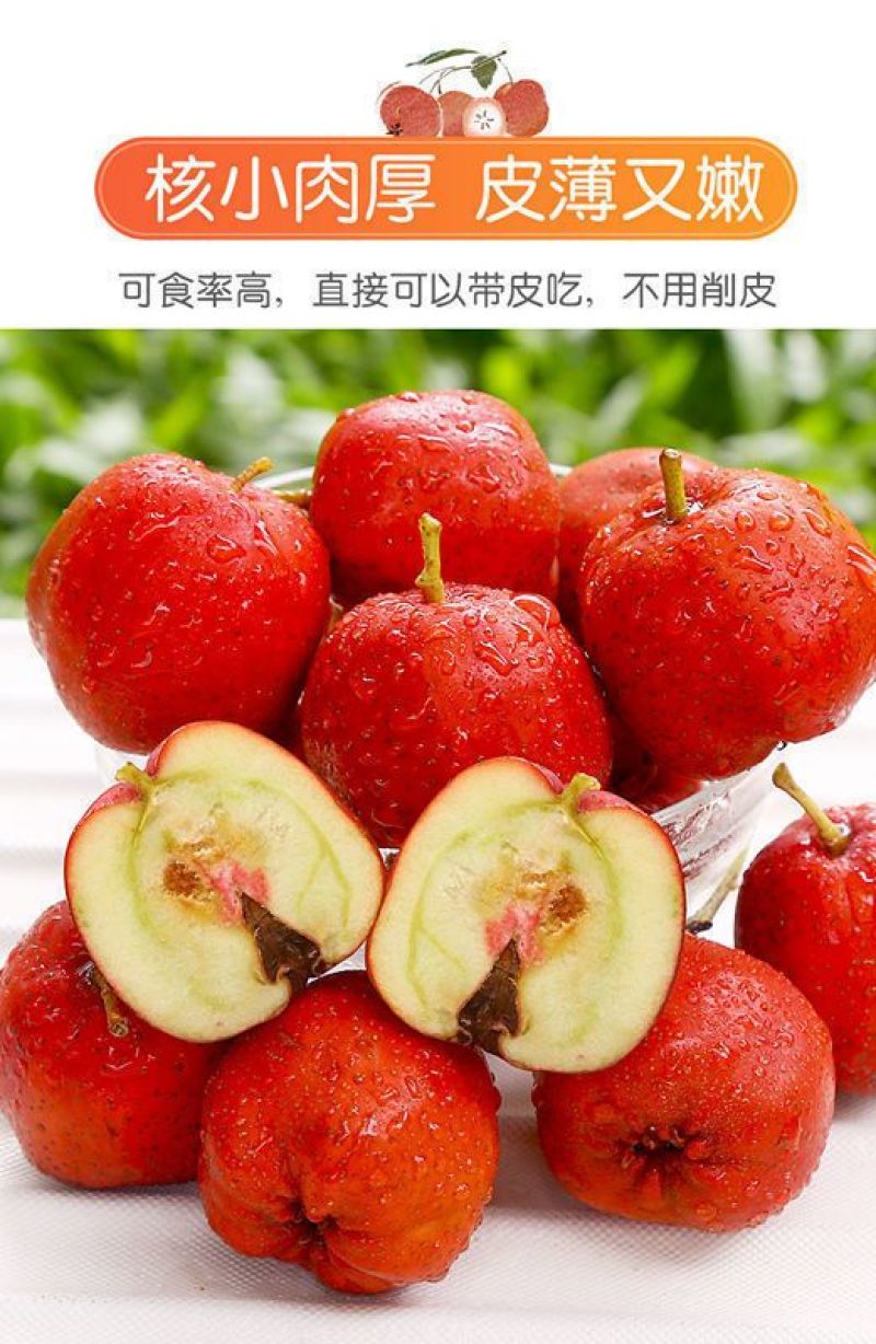 糖葫芦糖雪球专用大五棱特级新鲜山楂现摘鲜果冰糖葫芦批发