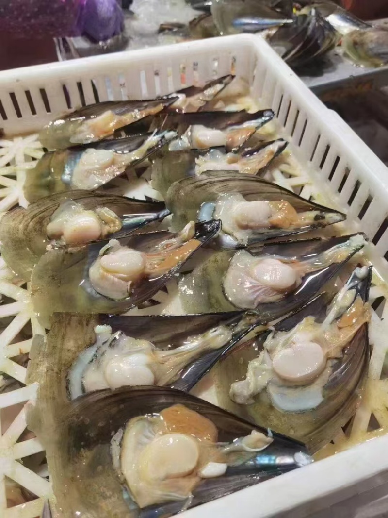 【精选好货】优质贻贝大量有货品质保证量大从优