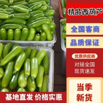 山东费县西葫芦绿皮西葫芦大量上市四两起步一条龙打包服务可