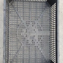 【实力推荐】鹅苗框黑框货源充足厂家直销质量好