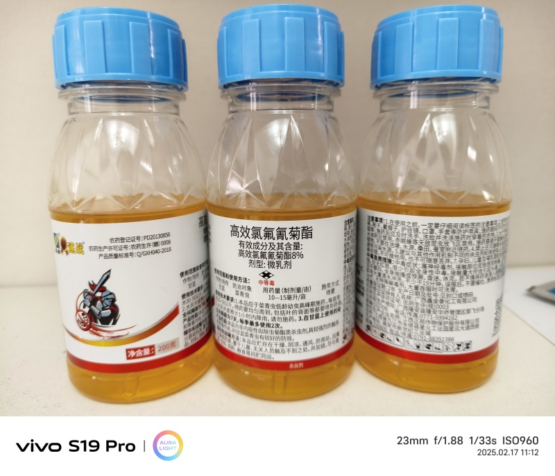 8%高效氯氟氰菊酯微乳剂防治小麦蚜虫金针虫
