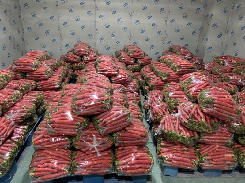 湖北荆州本地老品种水果胡萝卜🥕