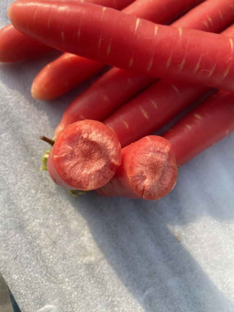 湖北荆州本地老品种水果胡萝卜🥕