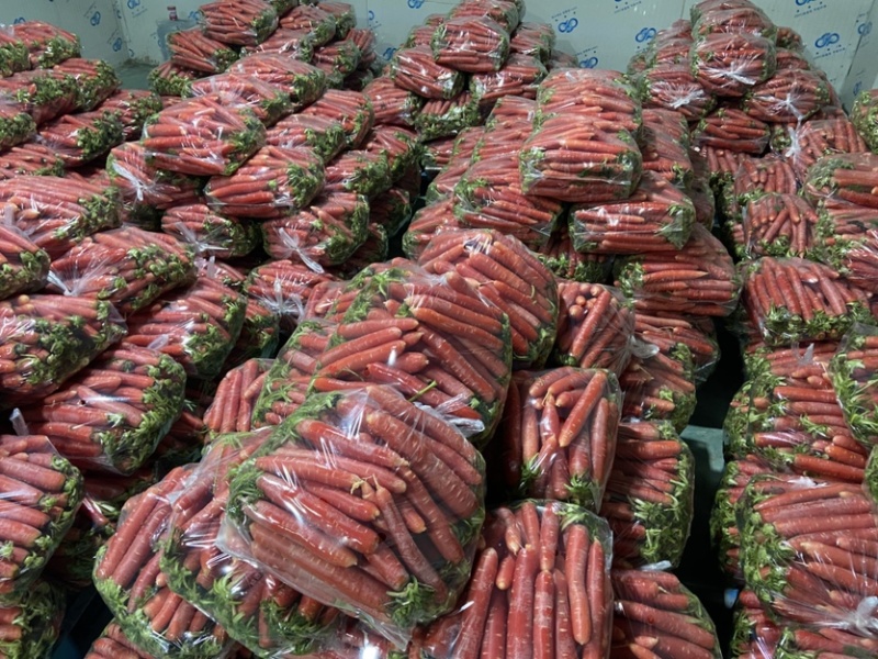 湖北荆州本地老品种水果胡萝卜🥕