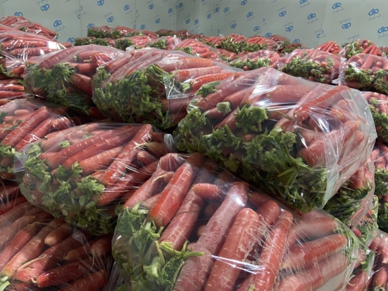 湖北荆州本地老品种水果胡萝卜🥕