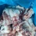 加肉猪小排