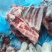加肉猪小排