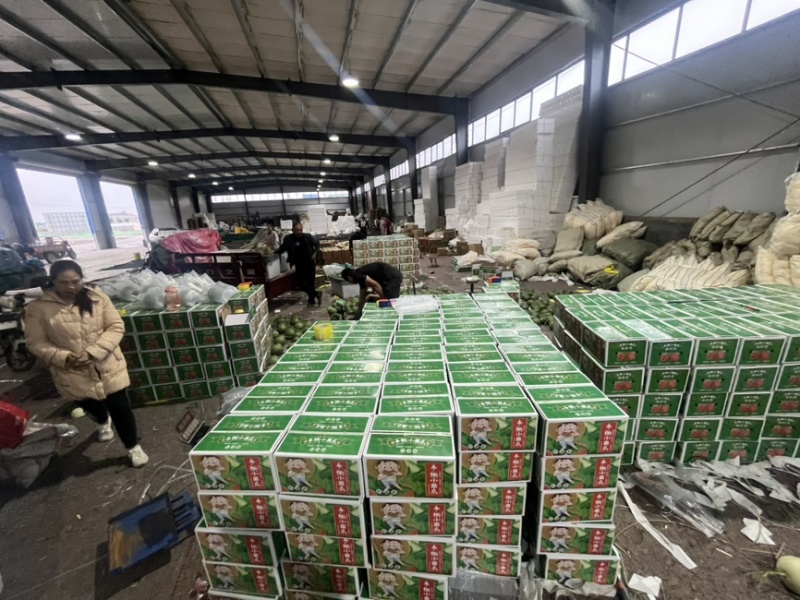 网红冰淇凌玉菇甜瓜产地一件代发对接电商主播团队市场团购