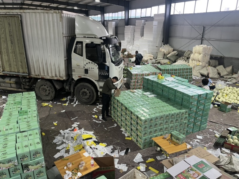 网红冰淇凌玉菇甜瓜产地一件代发对接电商主播团队市场团购