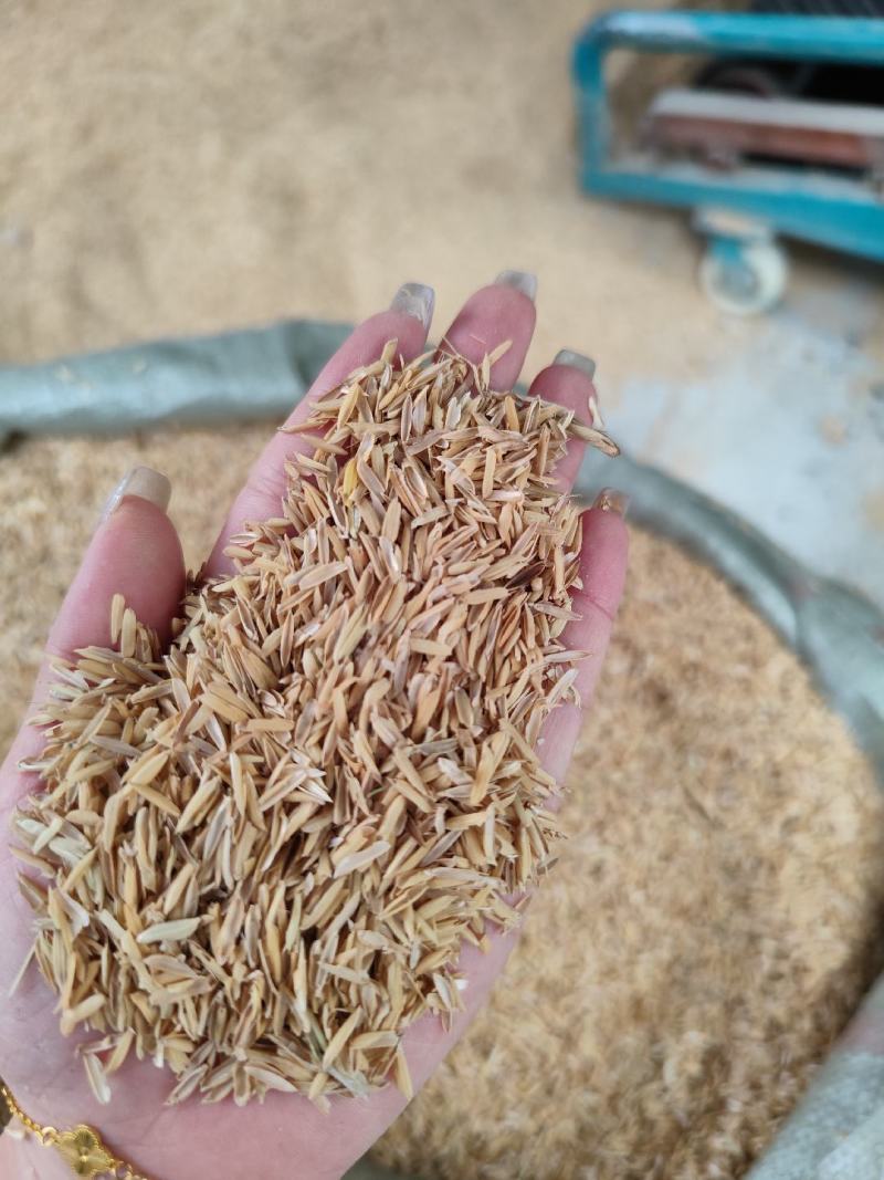 过筛净壳酒厂专用，米厂直供常年有货，量大从优