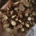 《甘草》甘肃甘草大通货货源充足量大从优