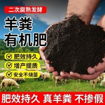 生物有机肥羊粪高温腐熟肥力强厂家一手价格不高