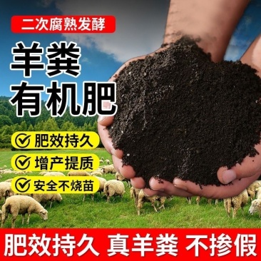 生物有机肥羊粪高温腐熟肥力强厂家一手价格不高