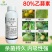 80%乙蒜素柑橘果树青苔病根腐病枯萎烂秧青枯立枯病烟煤病
