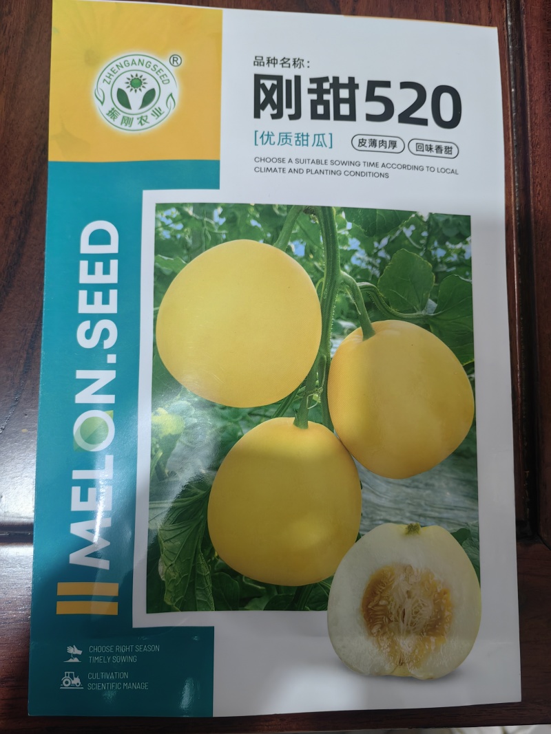 甜瓜苗甜瓜直播苗甜瓜嫁接苗博洋九绿宝羊角蜜，苗场直发