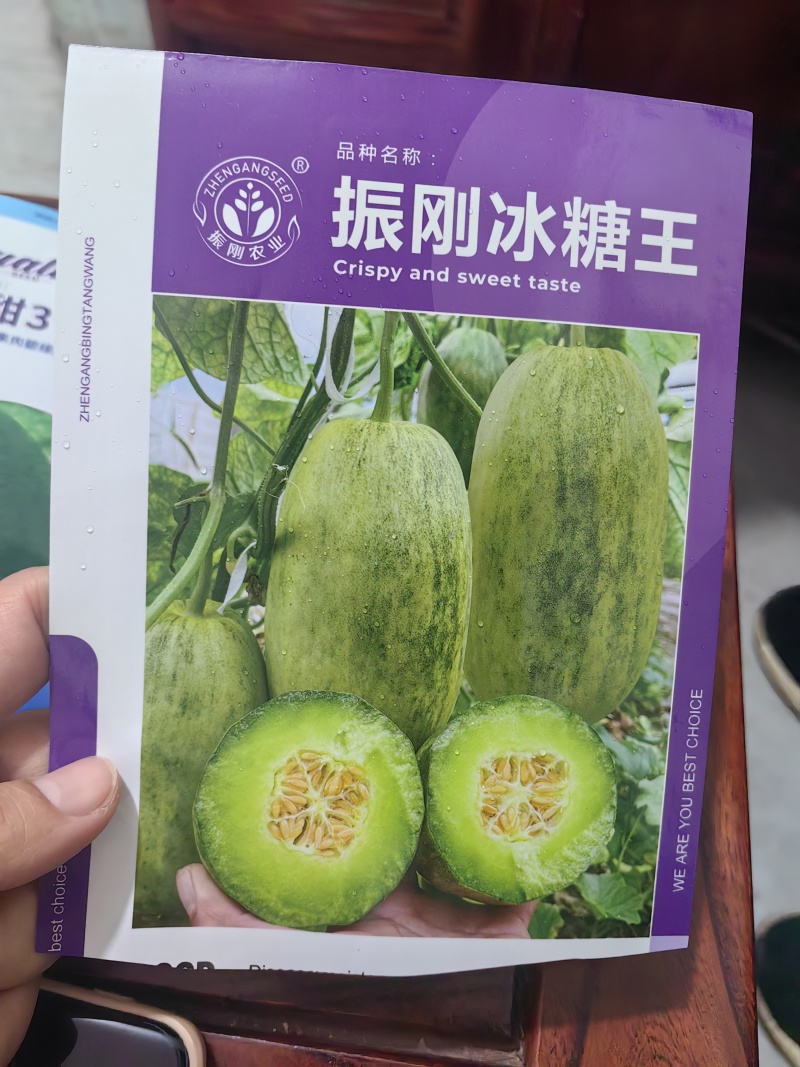 甜瓜苗甜瓜直播苗甜瓜嫁接苗博洋九绿宝羊角蜜，苗场直发