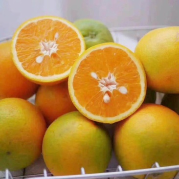 《实力精选》橙子，夏橙个大皮薄肉厚化渣对接各需求