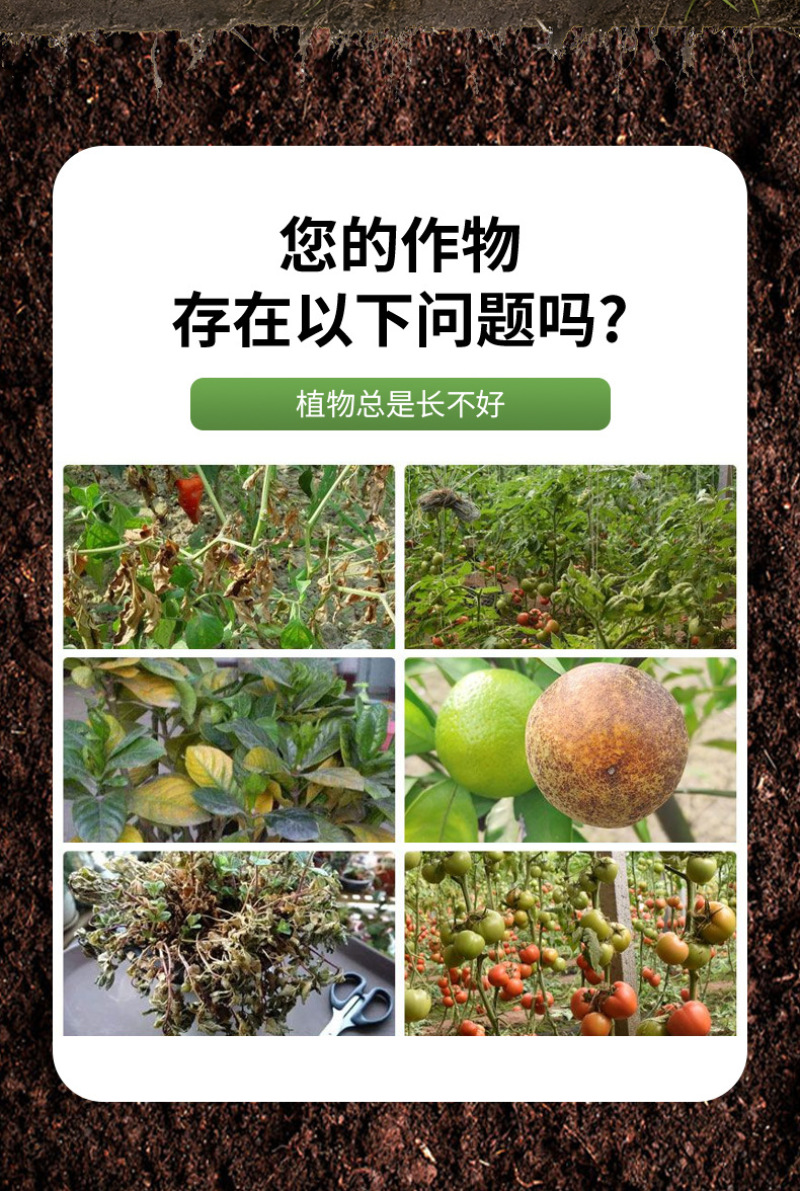 锐护地变果满增产肥料含腐植酸水溶肥料微量元素果蔬均衡生长