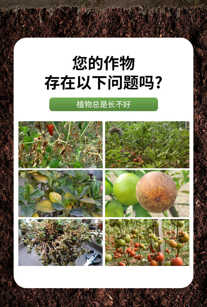地变果满生根肥哈茨木聚糖型生根肥含腐植酸水溶肥料蔬果可用
