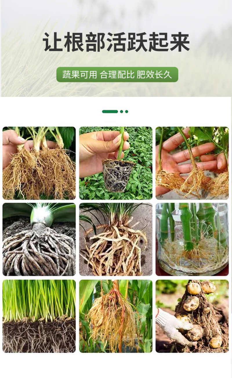 地变果满生根肥哈茨木聚糖型生根肥含腐植酸水溶肥料蔬果可用