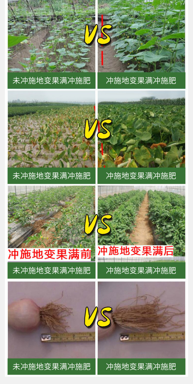 地变果满生根肥哈茨木聚糖型生根肥含腐植酸水溶肥料蔬果可用