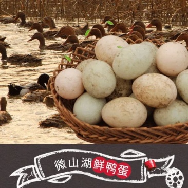 鸭蛋新鲜生鸭蛋绿壳青皮红心鸭蛋微山湖正宗散养麻鸭蛋土鸭蛋