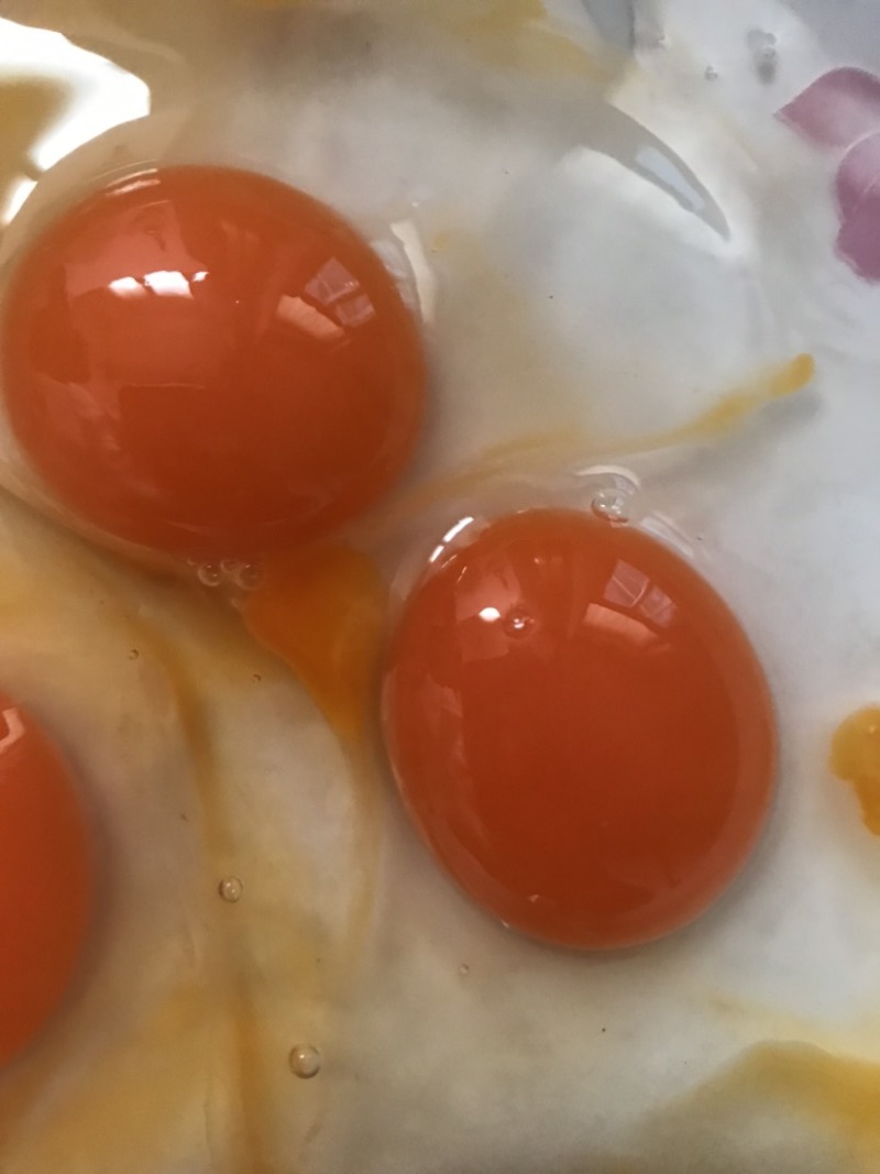 鸭蛋新鲜生鸭蛋绿壳青皮红心鸭蛋微山湖正宗散养麻鸭蛋土鸭蛋