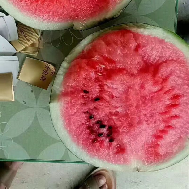美都西瓜种子汴南红西瓜大果麒麟瓜红瓤耐裂甜脆改良8424