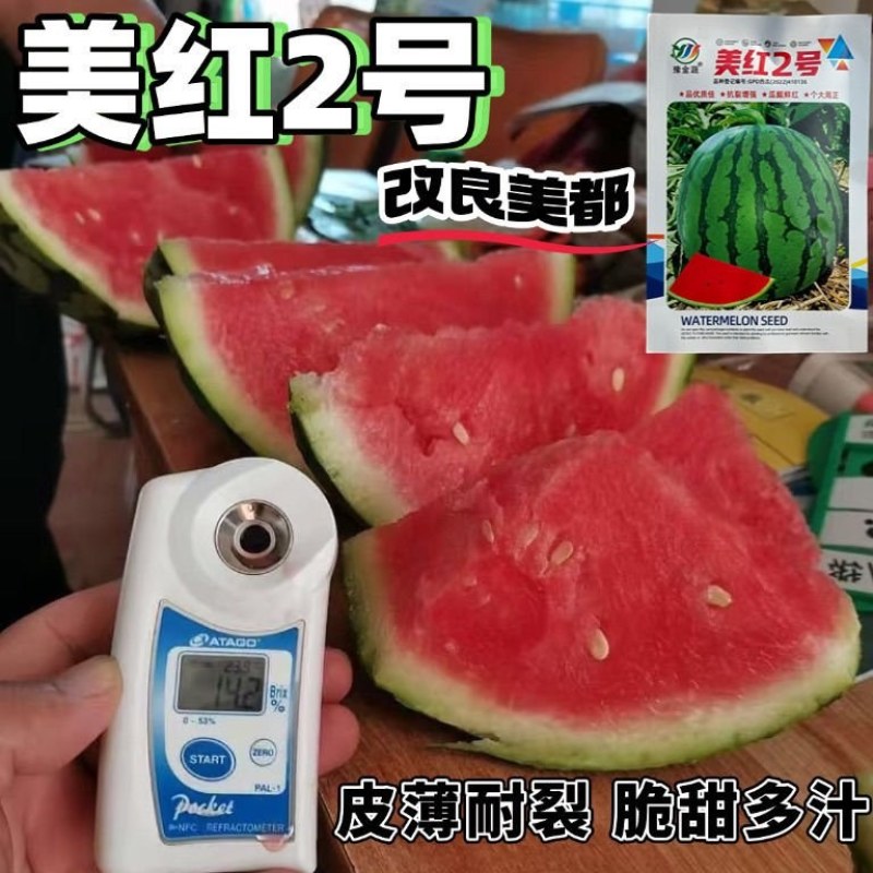 美红2号西瓜种子美都西瓜皮薄耐裂改良8424甜脆红瓤圆麒