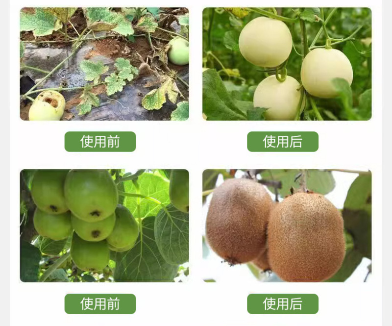 钙镁硼锌铁中量元素螯合肥料水溶肥叶面肥大棚蔬菜花果肥料