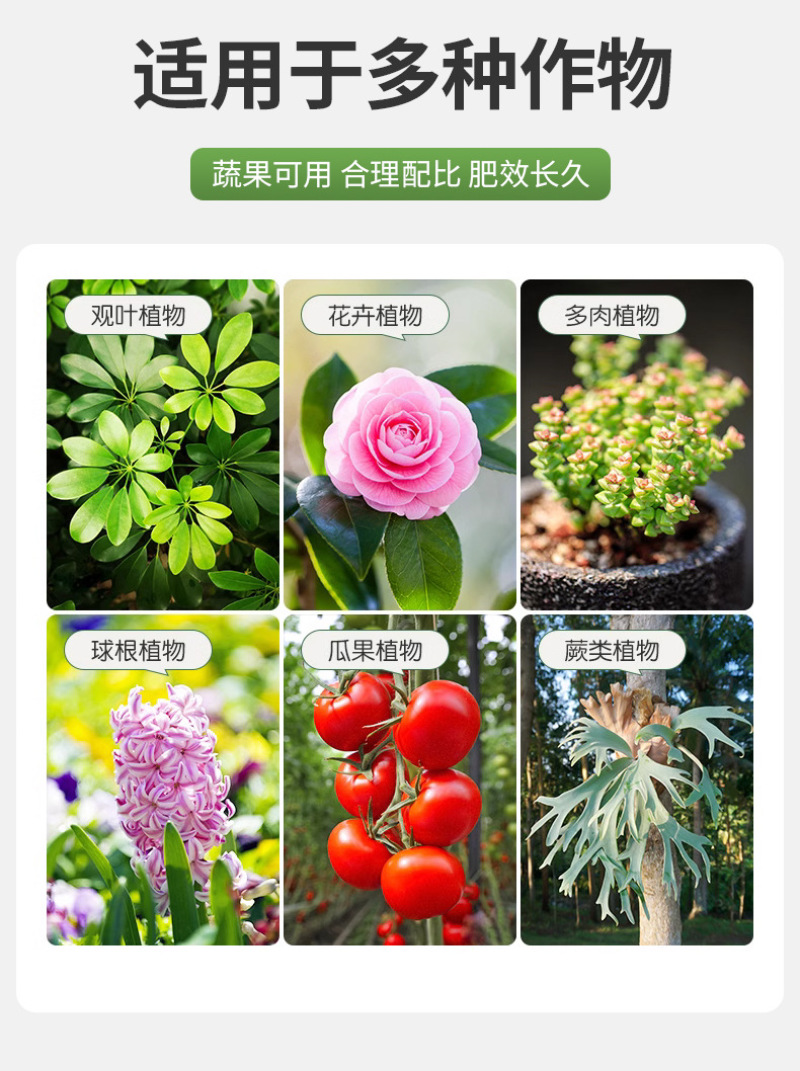 钙镁硼锌铁中量元素螯合肥料水溶肥叶面肥大棚蔬菜花果肥料