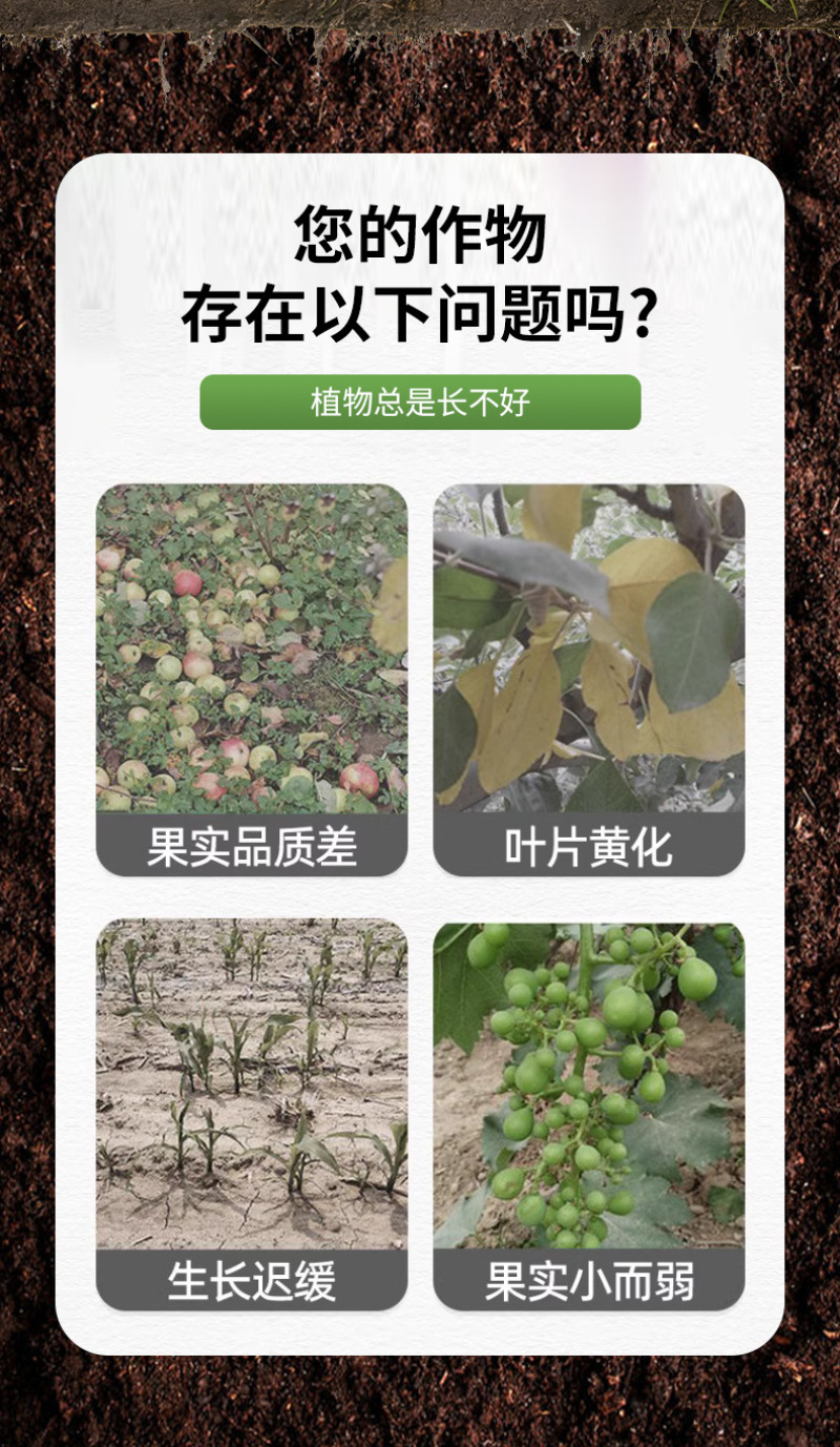 钙镁硼锌铁中量元素螯合肥料水溶肥叶面肥大棚蔬菜花果肥料
