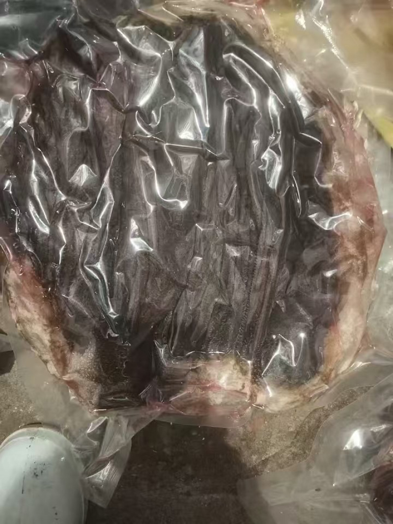 长期供应冻鲜百叶，电话***********