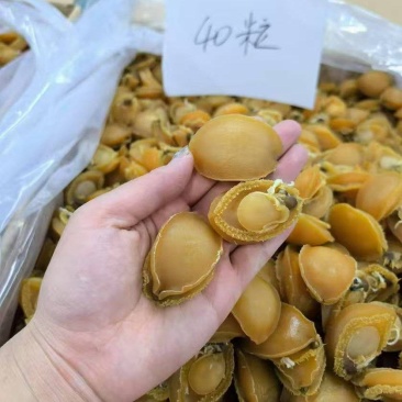 干鲍鱼